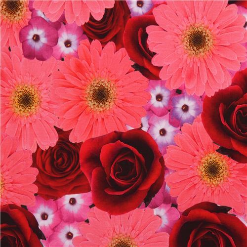 Tissu Jersey Avec Des Grosses Fleurs Des Marguerites Des Roses